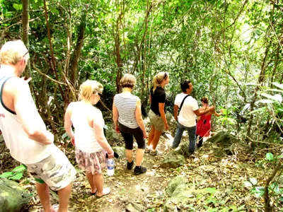 Whisper Nature Bungalow & Resort – 사진 15